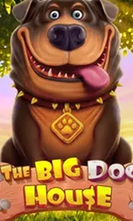 The Big Dog House