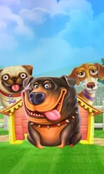 The Dog House