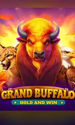 Buffalo Hold And Win